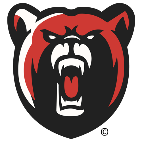 Bear Logo